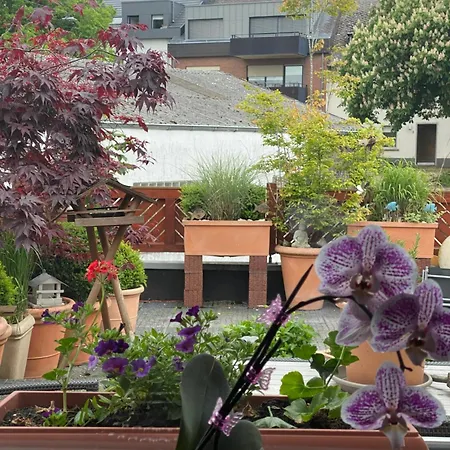 43 Apartman Trier